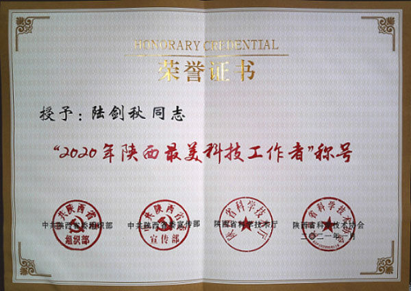 科技控股